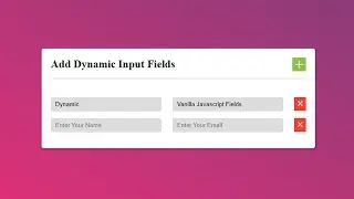 How To Create Dynamic Input Fields Creation Using HTML CSS And Vanilla JavaScript |  