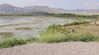 NALLIHAN KUŞ CENNETİ