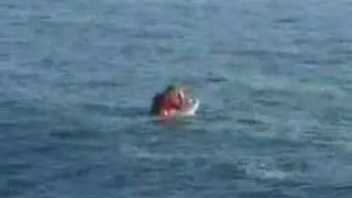 Surfando Com Tubarao