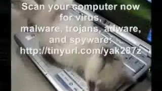 spyware adware removal.wmv