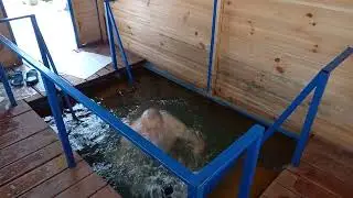 06 02 2022 Николин ключик