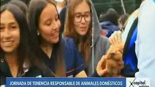 Estudia con tu mascota 2018