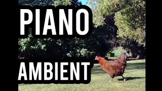 VI - Reminiscencia - Numa Records #piano #ambient #chill #relax #music #new