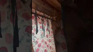 📍Карниз за 0 РУБЛЕЙ. Как Вам такое интерьерное решение? #кело #kelo #сухостойнаясосна