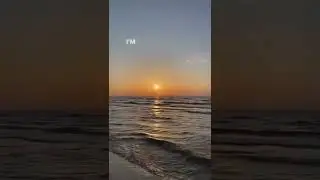 Максим Галкин: "Я просто снимаю"