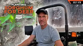 Planting Sorghum for Deer - How and Why | Dream Farm w/ Bill Winke