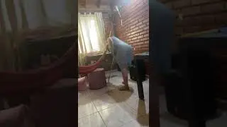 Tante cantik baju transparan warna biru