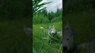 Идём в одно очень классное место!