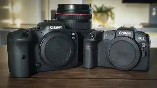Canon R6 vs Canon RP - Which Camera Takes Better Photos?