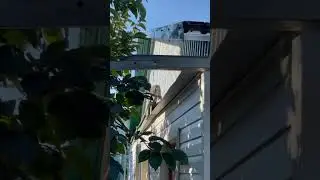 Когда сфинкс ожил 😻. Ну ведь приятно смотреть на красивые, естественные, грациозные движения? 🤔