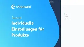 Individuelle Einstellungen für Produkte (Shopware 6 Tutorial)