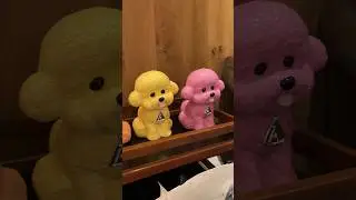 Aritzia Bichon Display Sale!