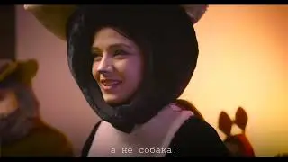 Examples of my work. Anti discriminatory campaign. Animals court (cat) Кампанія проти дискримінації