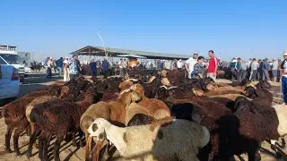 25.08.2024 КУЗИЛАРНИ ОПТОМ АРЗОНЛАРИДАН КАРШИ КАРВОН МОЛ БОЗОРИДА