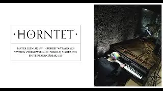 WE ARE: Horntet