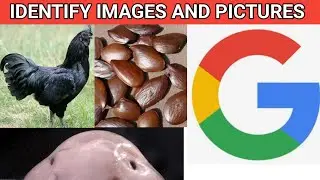 SEARCH THE MEANING OF PICTURES - DECODE THE MEANING OF IMAGES