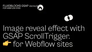 FLUIDBLOCKS | 07 Image reveal effect with GSAP scrollTrigger | Webflow