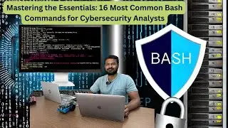 Mastering the Essentials: 16 Most Common Bash Commands for Cybersecurity Analysts