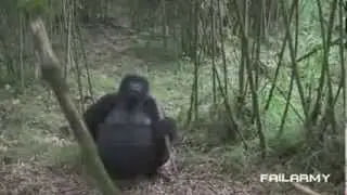 Best Fails of the Week 2 January 2013