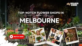 Best Florists Melbourne  | Australia Insider Guide