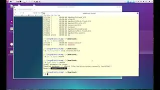 How to remove Nessus from Kali in three simple steps