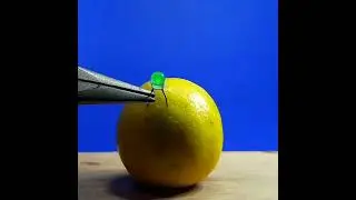 LED light lemon science experiment project / simple electronics science experiment 