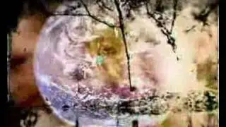 עולם נפלא - קליפ חדש