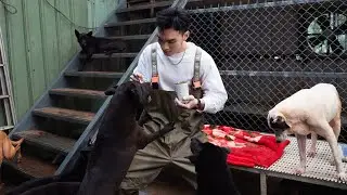 五堅情團員們照顧動物的分享 [ 2022愛最大 讓愛永續 ] - 花絮