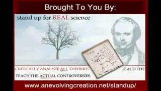 Does The Evidence Support Evolution?