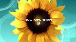 4 КАНАЛ СЮЖЕТ РЕЛАКС