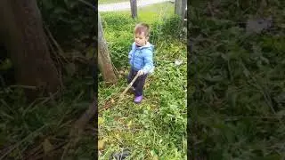 боремся с крапивой
