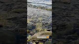 ВКО😍