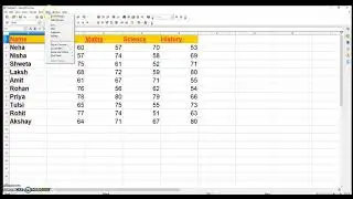 Consolidating Data in OpenOffice Calc | Class 10 Information Technology