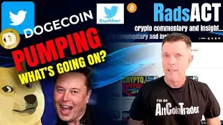 Why is #dogecoin pumping. What does this mean for #doge #twitter and #elonmusk