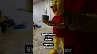 Pooh Bear Surprise Srilanka 