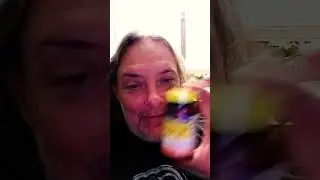 Peppermint oil helps with IBS and digestive issues.