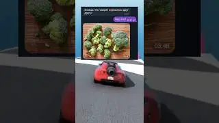 Переписки в мессенджерах как смысл жизни 