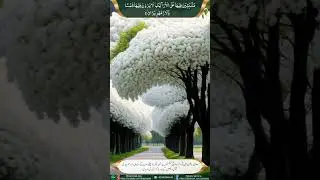Surah Dahr ( Al Insan ) Aayah 5-22 | سورۃ الدھر ( الانسان ) آیۃ ٥-٢٢ | Quran Recitation |@apnaanis
