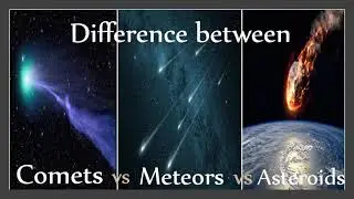 Comet, asteroids, meteors and meteorites.