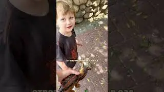 Настоящая работа