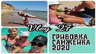 VLOG 27 / Грибовка- Санжейка 2020
