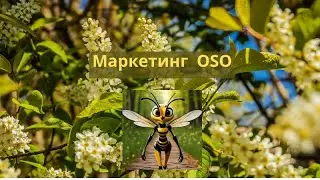 Маркетинг OSO