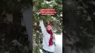 Гайд по игристым https://taplink.cc/_shapar/p/b85aa4/
