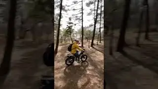 ГОНКА Surron X против Syccyba Impulse 🔥❗️