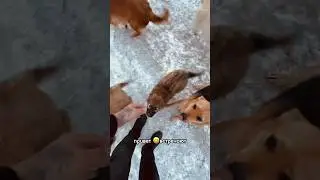 Самые лучшие 😇 