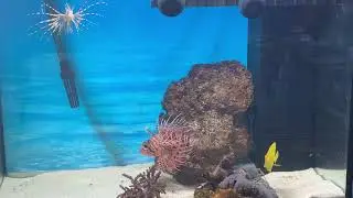 Моряки нас разводят!