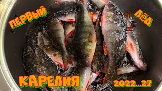 Карельский первый лёд. Зимняя рыбалка на окуня. Жерлицы 2022- 23.