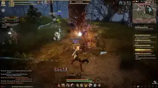 Black Desert Online Brasil - Friends 11/07