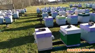 Влага в ульях эппс.  Ответ комментаторам.!!