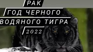 Рак 2022 🐯 Особенный Таро-прогноз на 2022 от Ruslana Magic 
